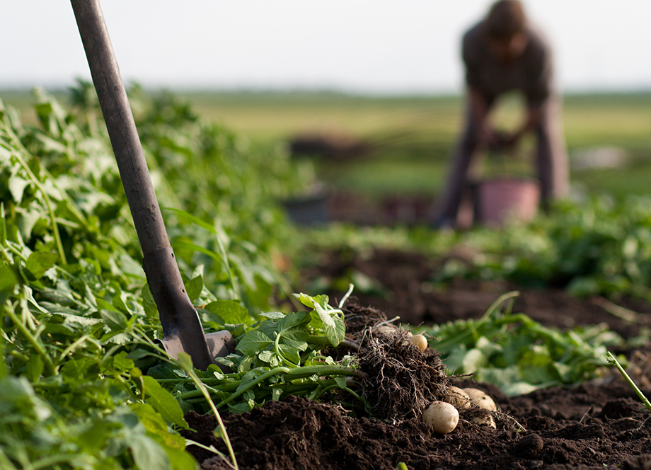 農作業をする人